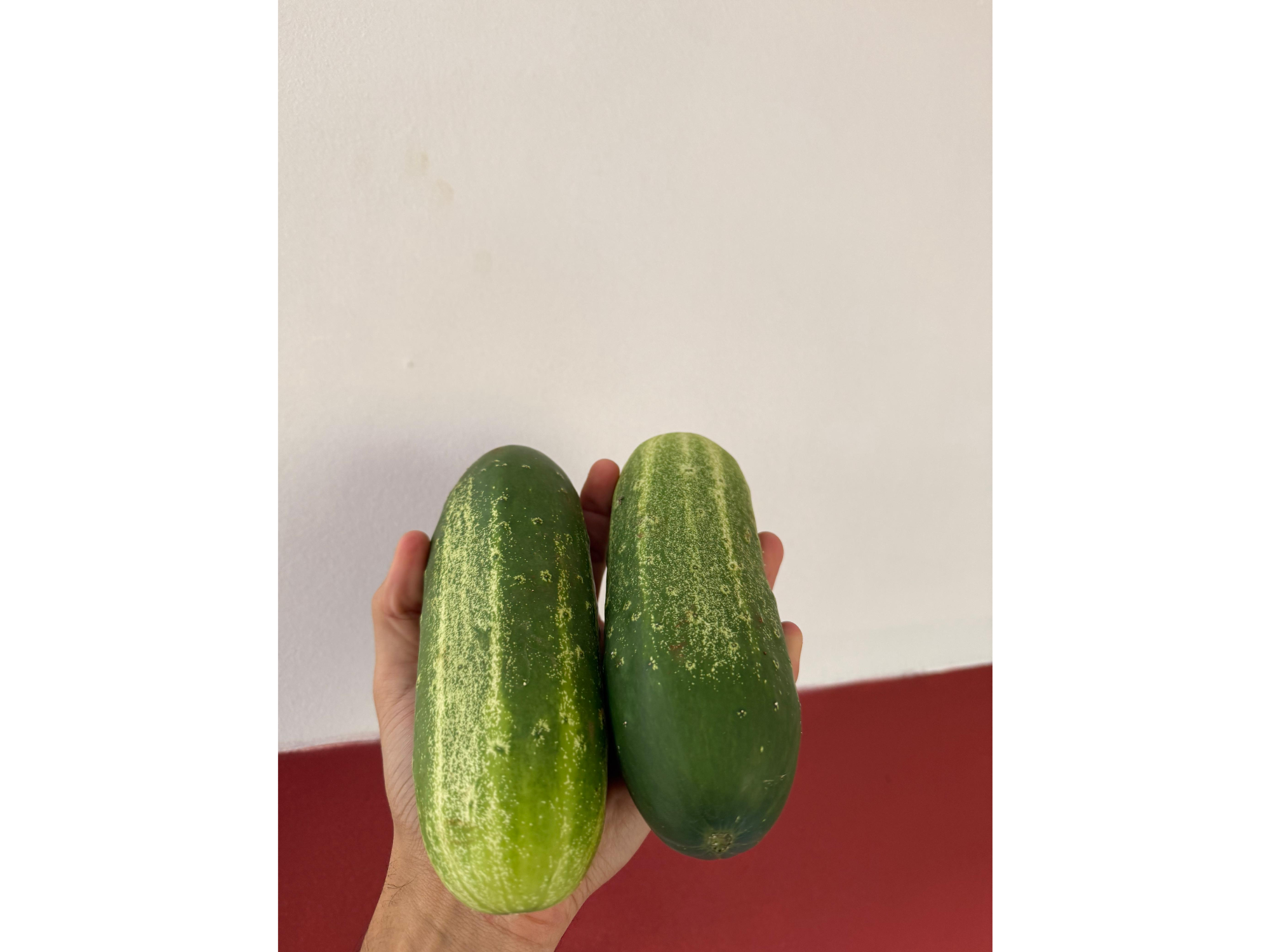 Pepino para ensalada