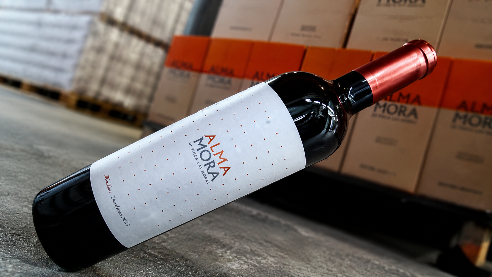 Vino