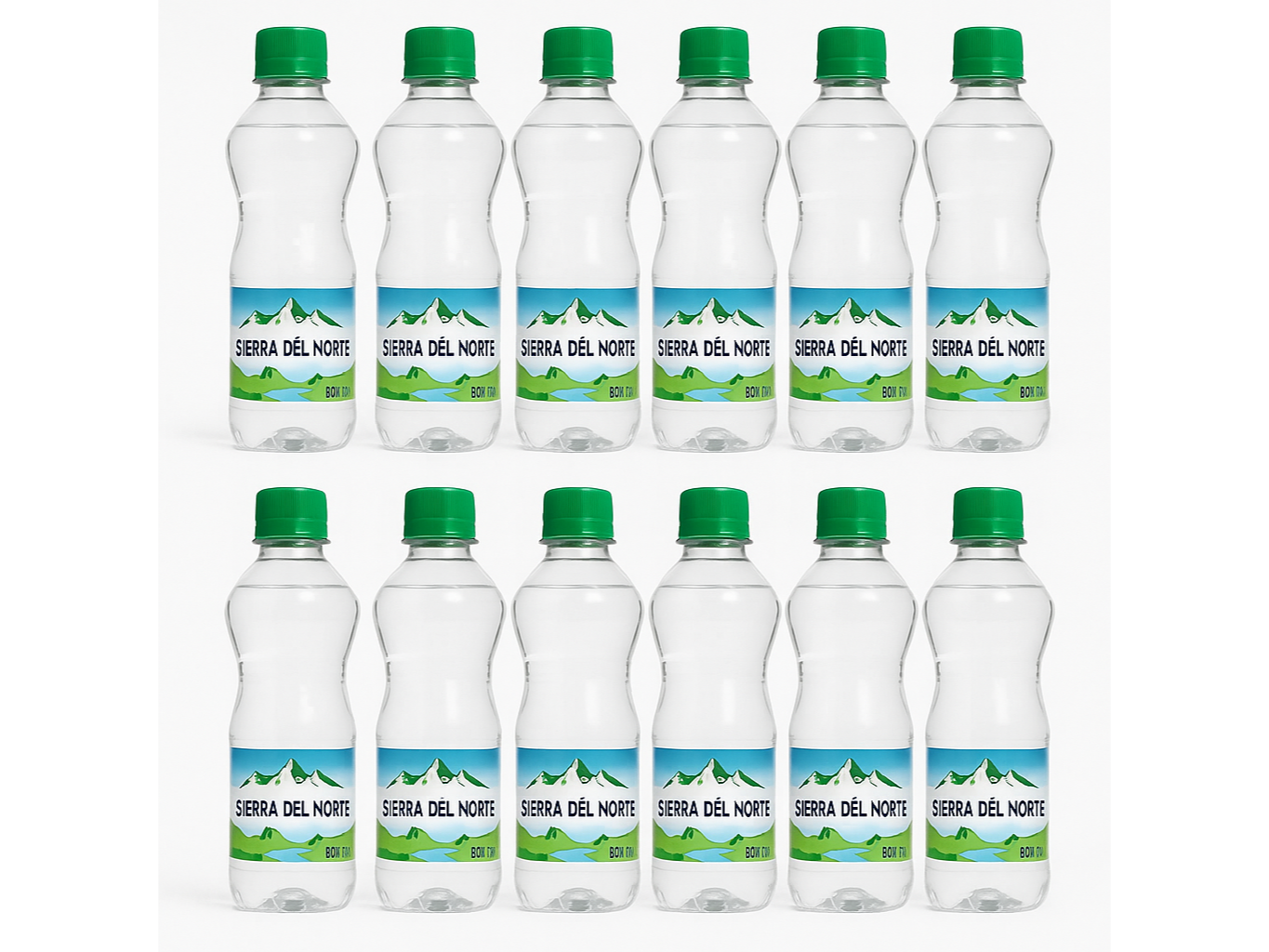 12 Agua Mineral Sierra del Norte 500 ML
