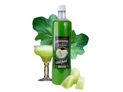 01 Pulpa Natural Melón 1100 Gr