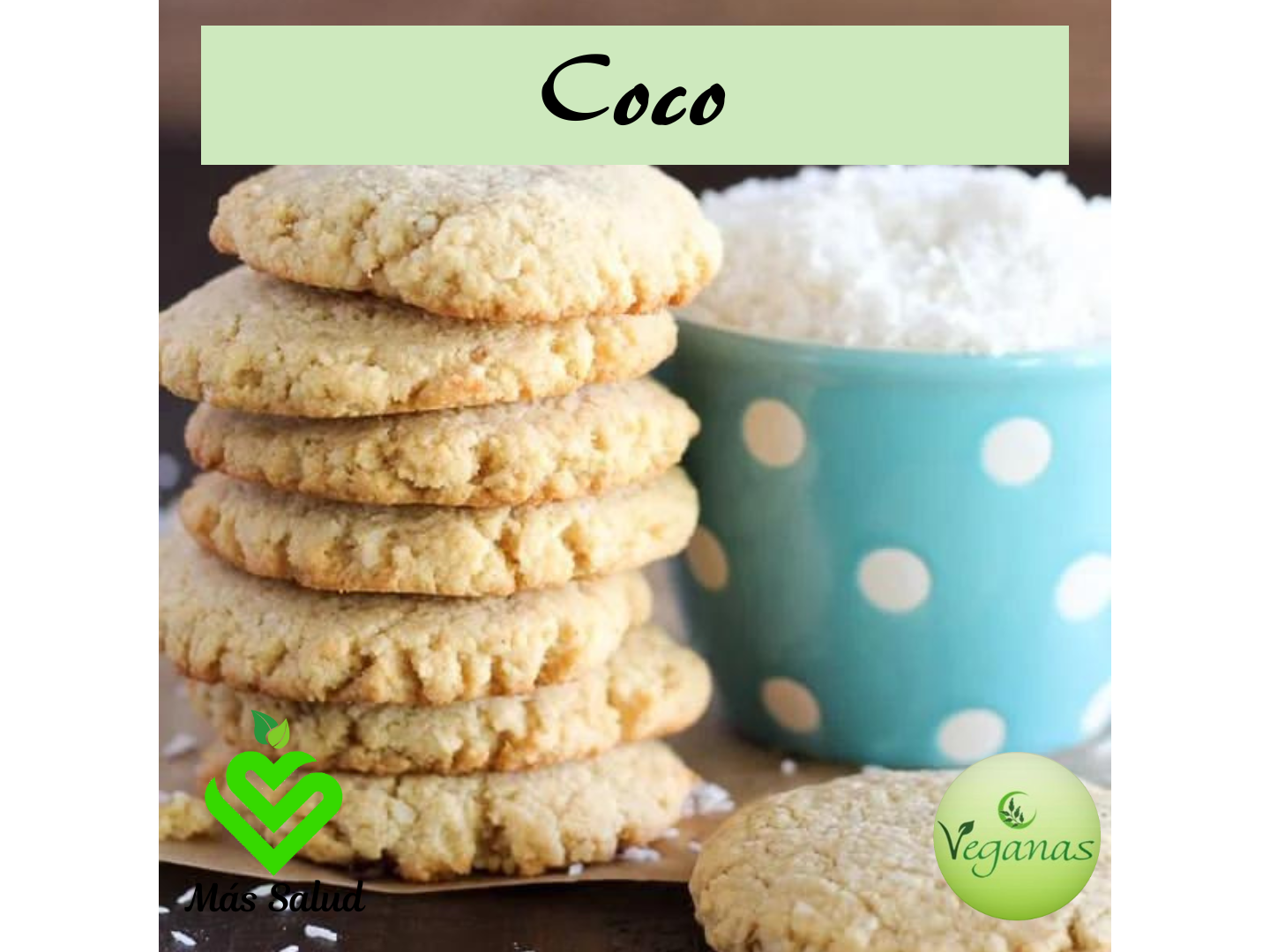 GALLETITAS DE COCO X 1KG