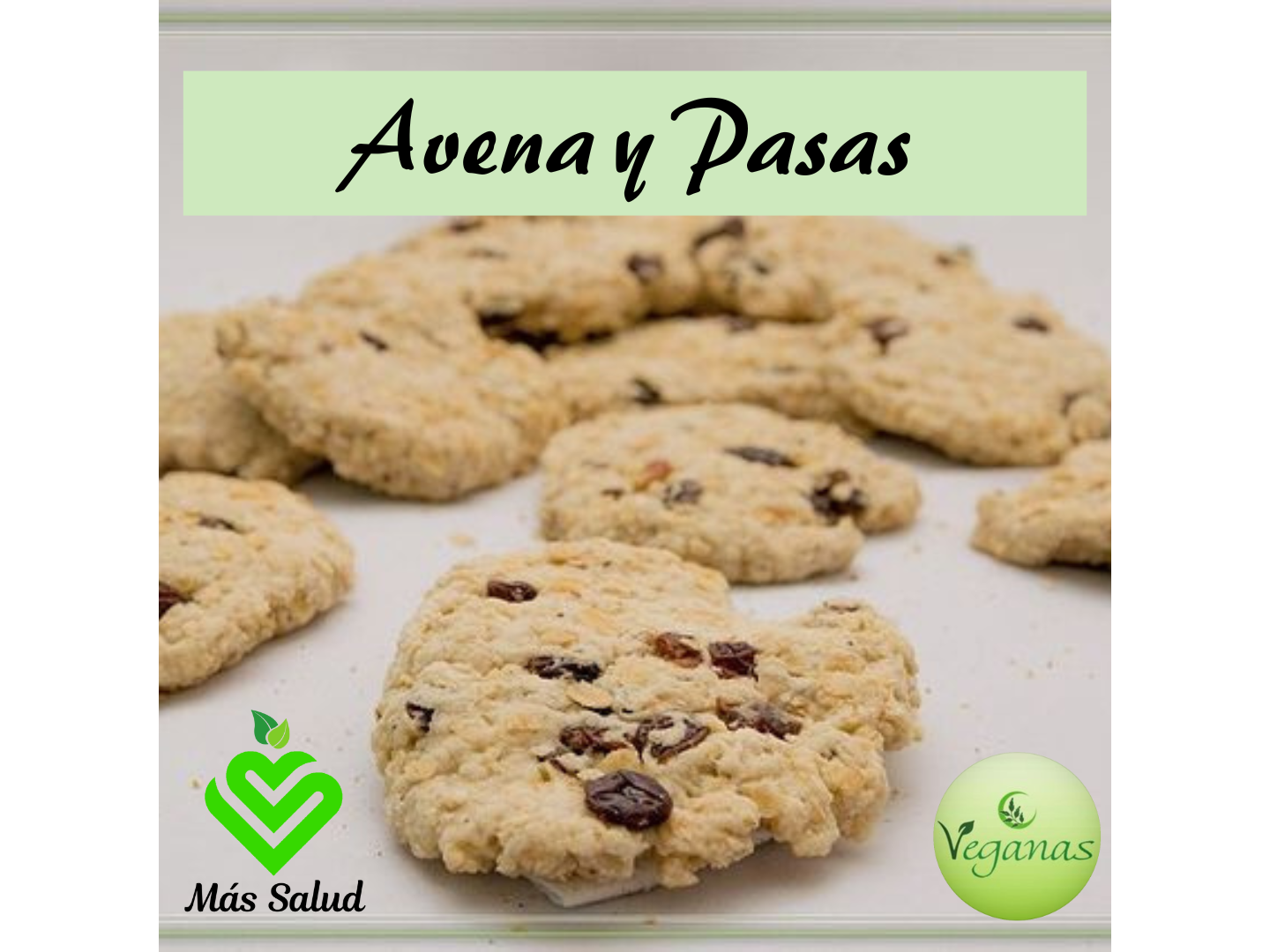 GALLETITAS DE AVENA Y  PASAS x 1 KG