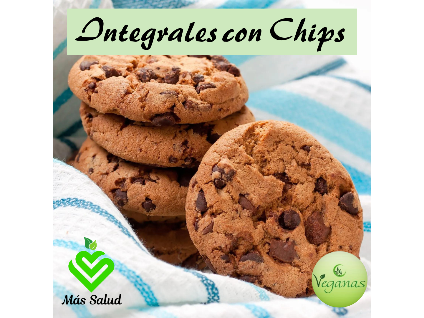 GALLETAS INTEGRALES CON CHIPS X 1 KG