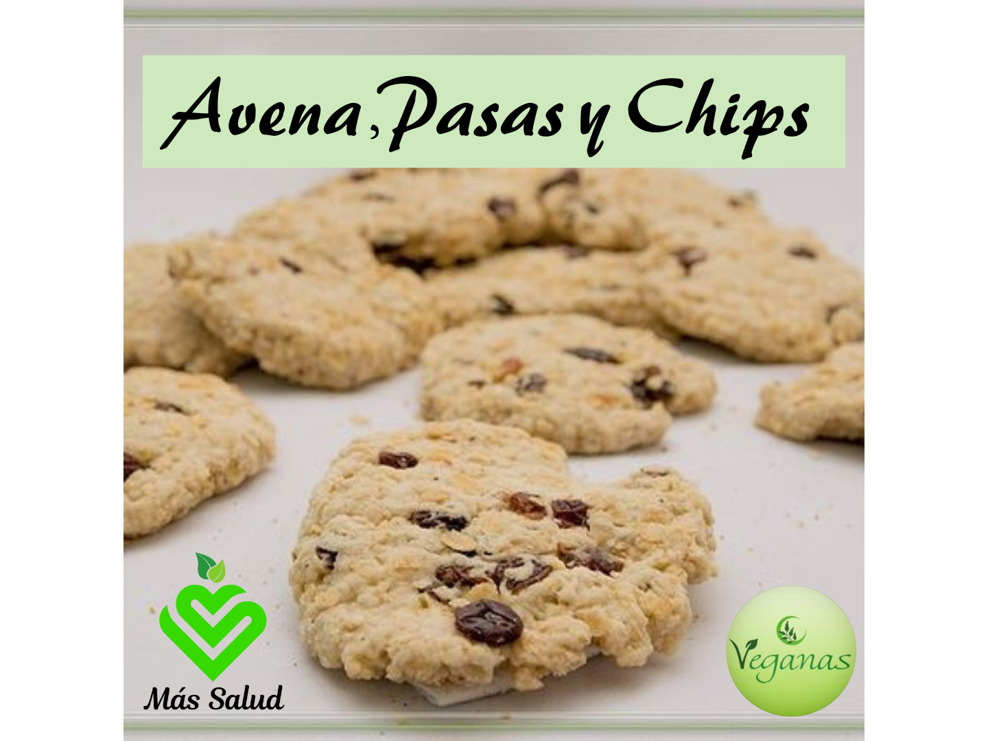 GALLETAS  DE AVENA, PASAS Y CHIPS X 1 KG