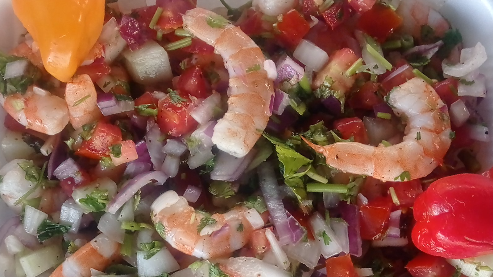 Ceviches