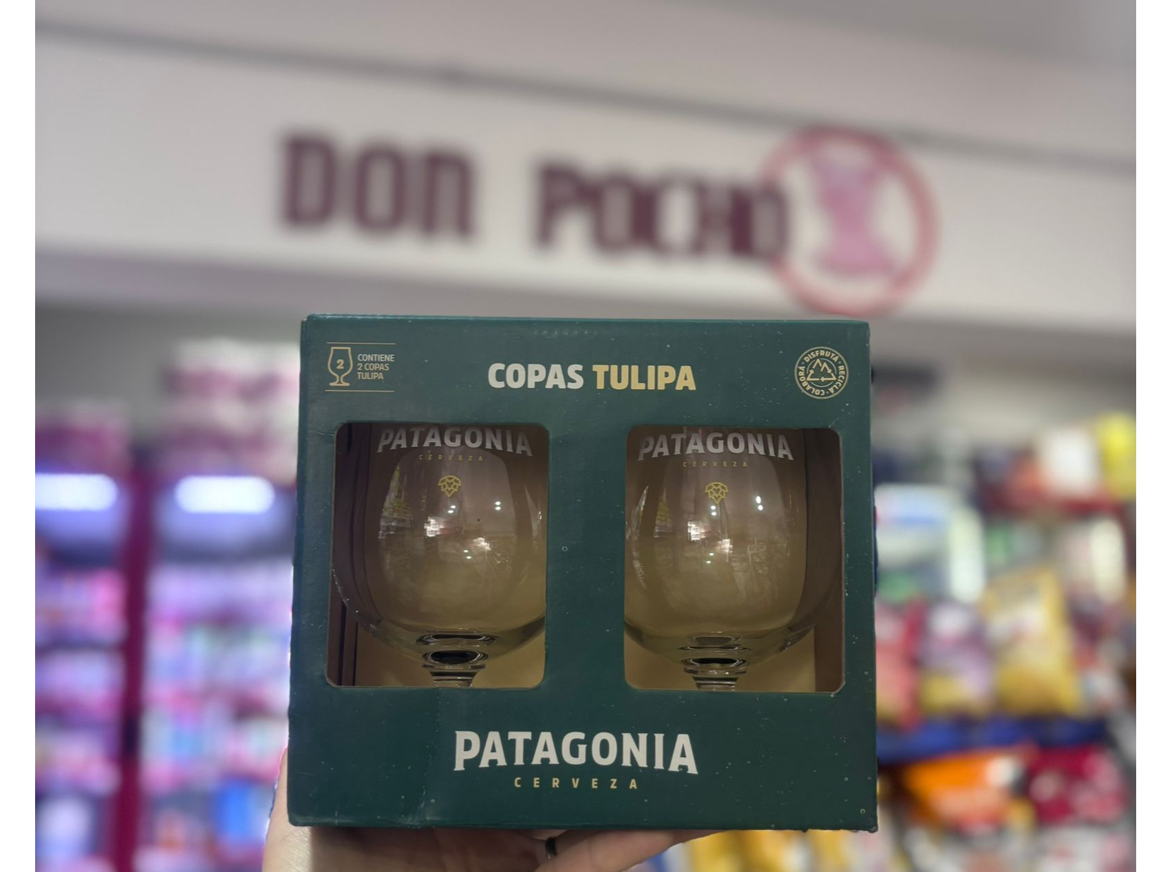 Copas Tulipa Patagonia