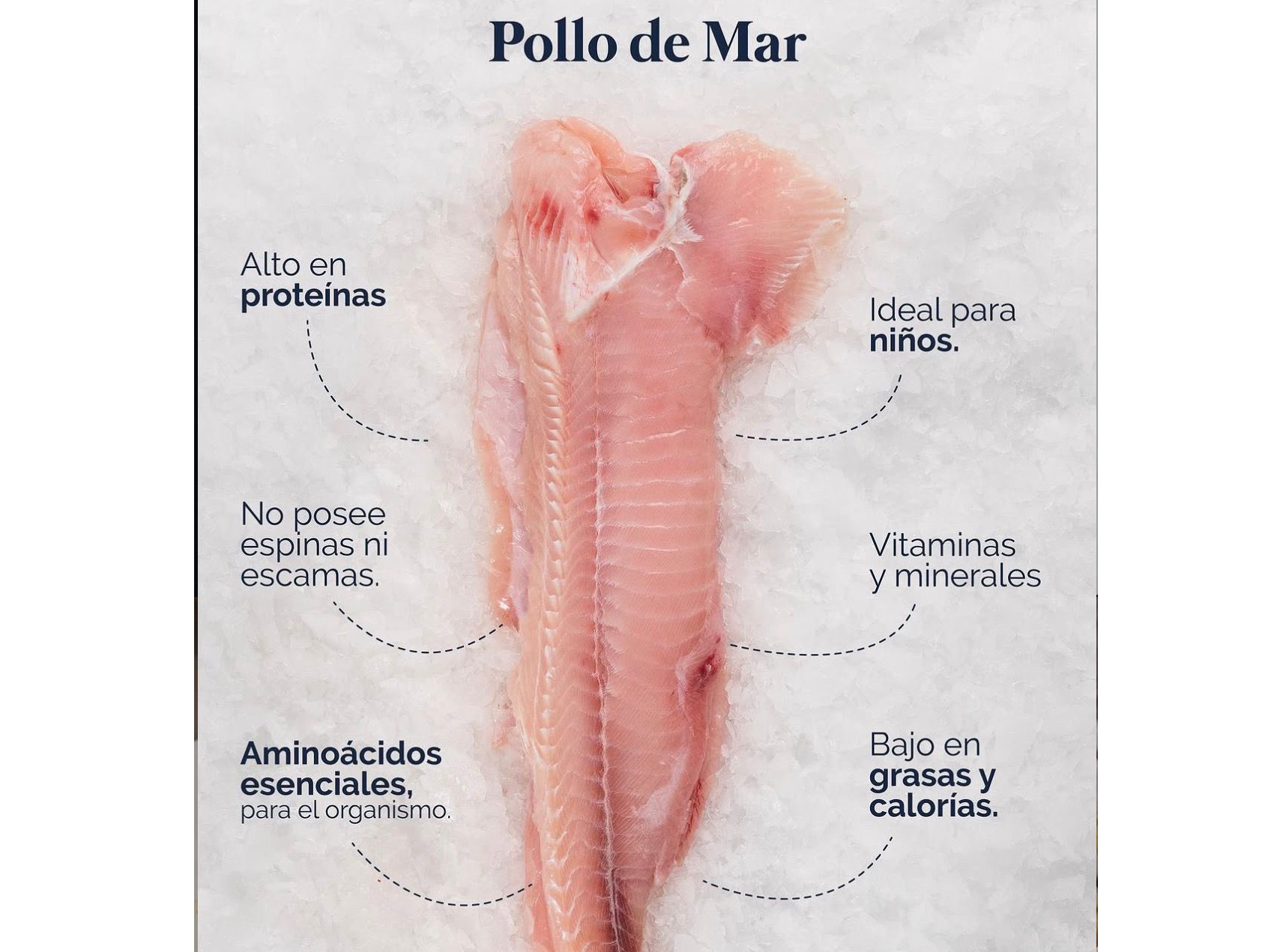 Filet de Pollo de Mar IQF (congelado premium)