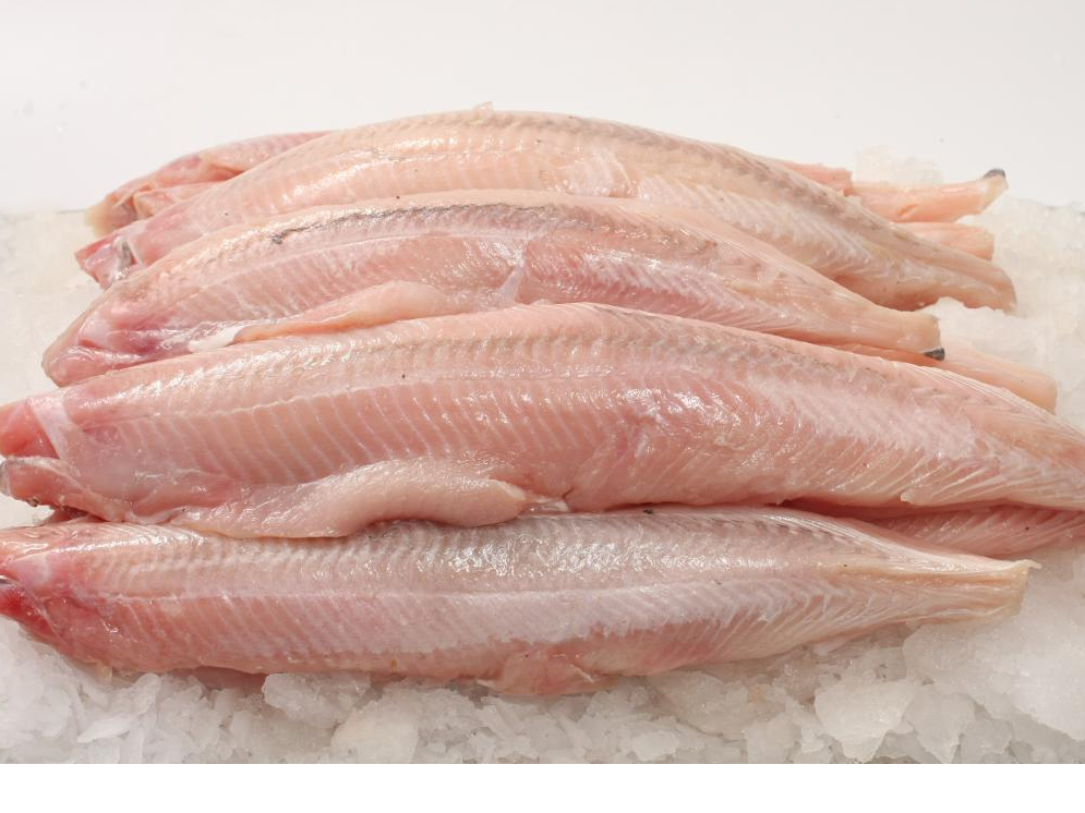Filet de Pez Gallo IQF (congelado premium)
