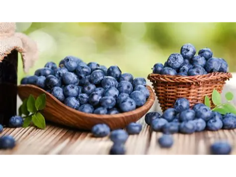 ARANDANOS - BOLSA X 500G