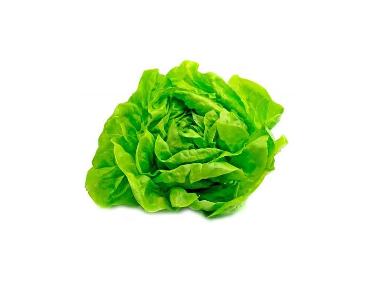 Lechuga mantecosa