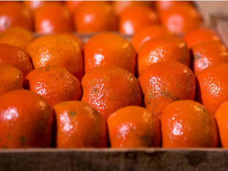 Mandarina encore