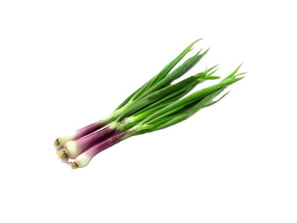 Cebolla de verdeo