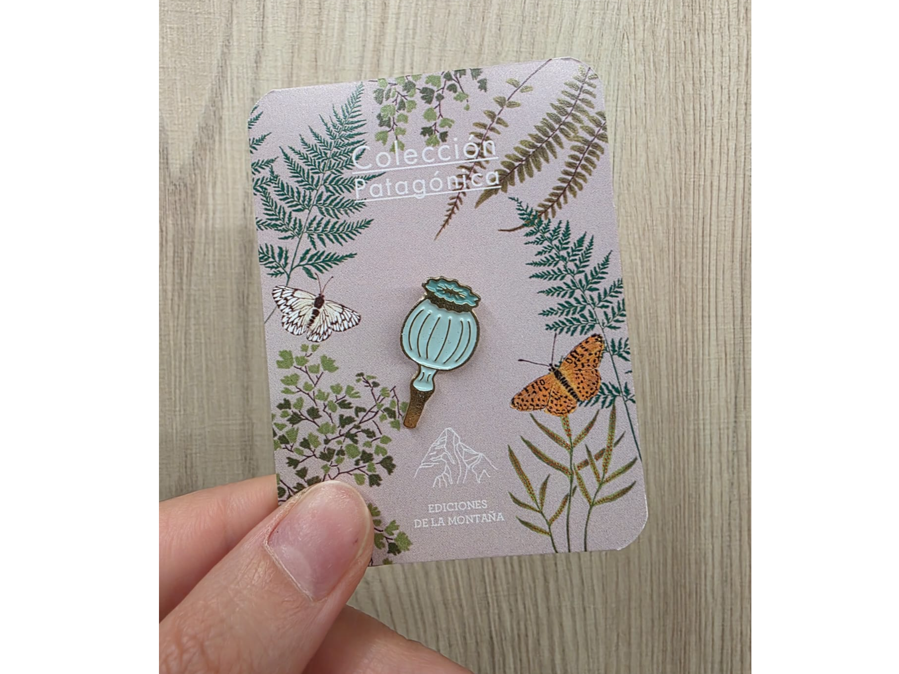 Flor patagónica- Fruto de amapola