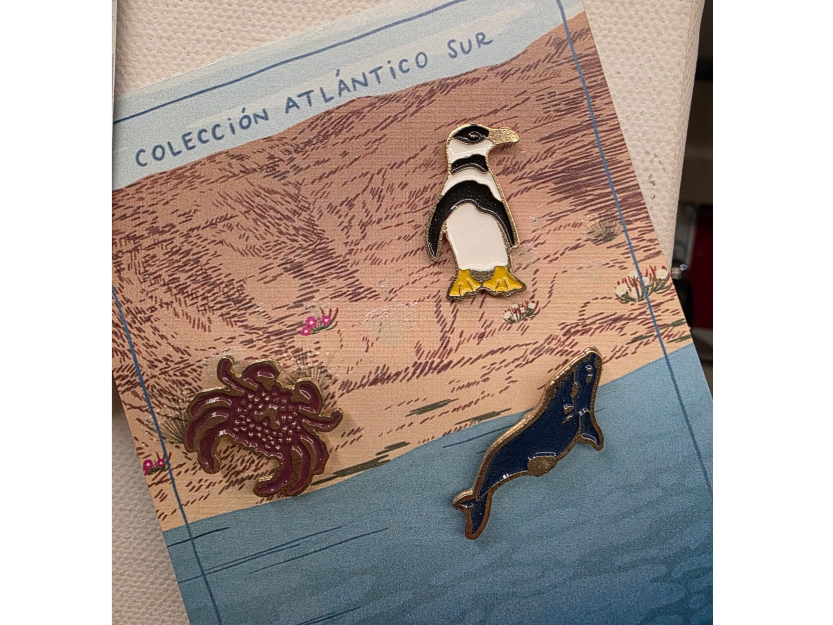 Colección Atlantico Sur x3