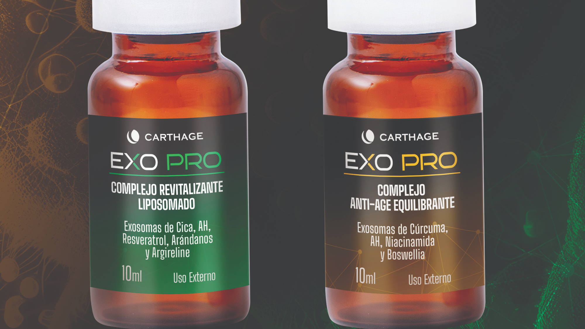 EXOSOMAS EXO PRO