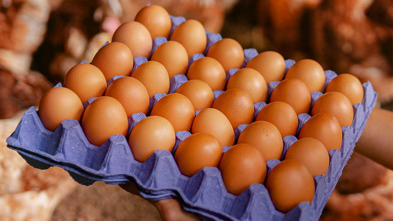 HUEVOS