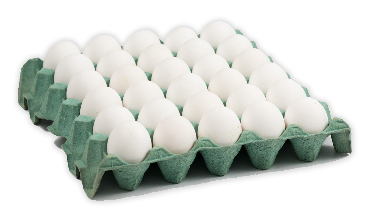 HUEVOS