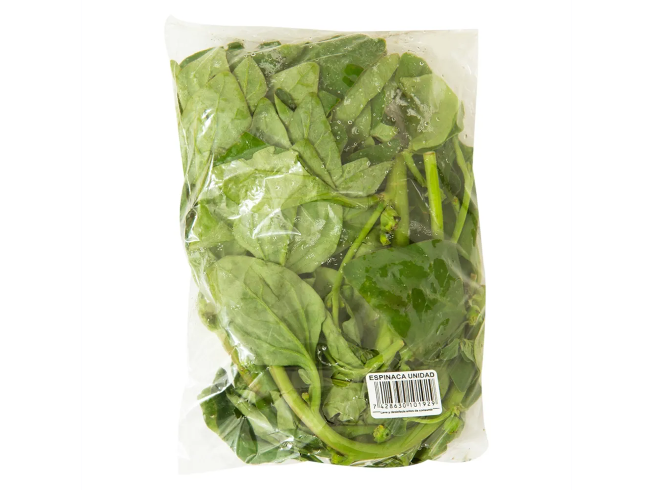 Espinaca