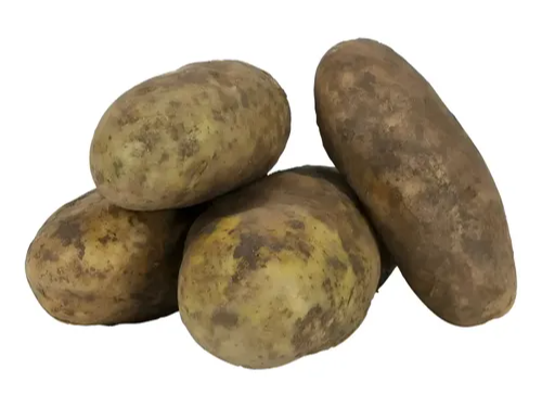 Papa Negra