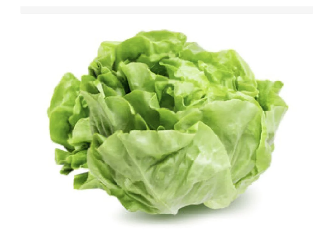 Lechuga Mantecosa