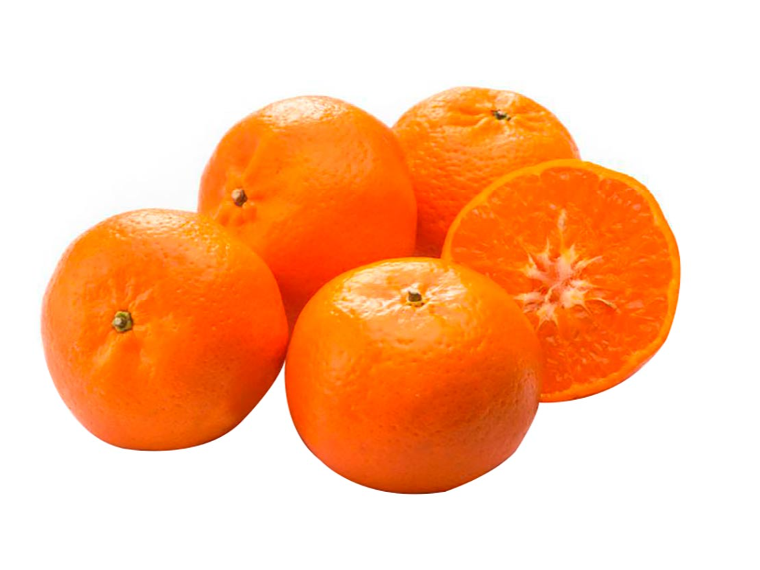 Mandarina ellendale
