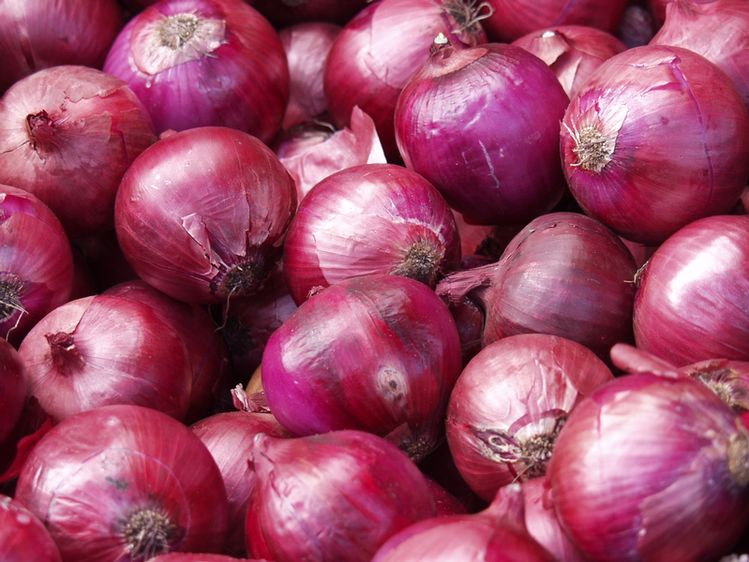 Cebolla morada
