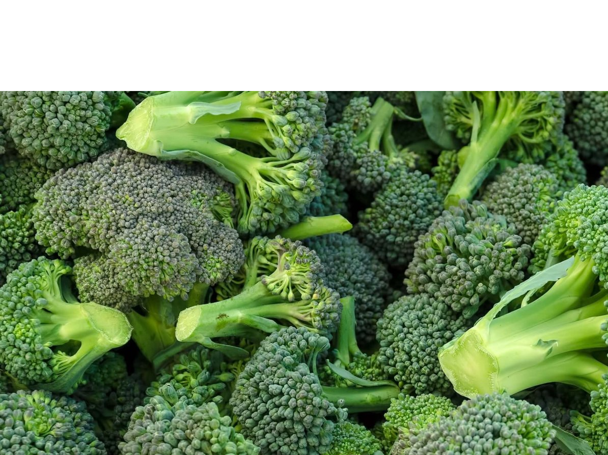 Brócoli