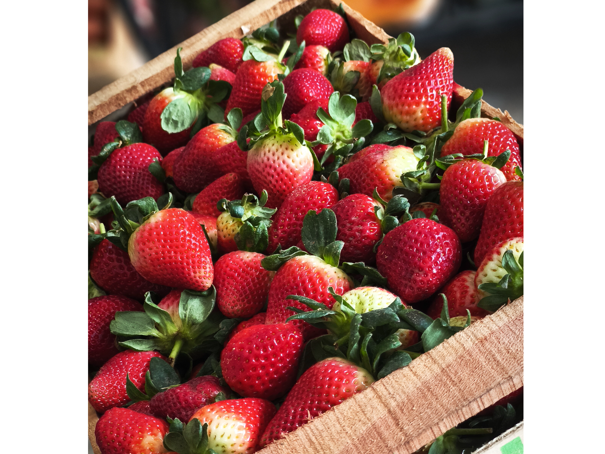 Frutilla a granel