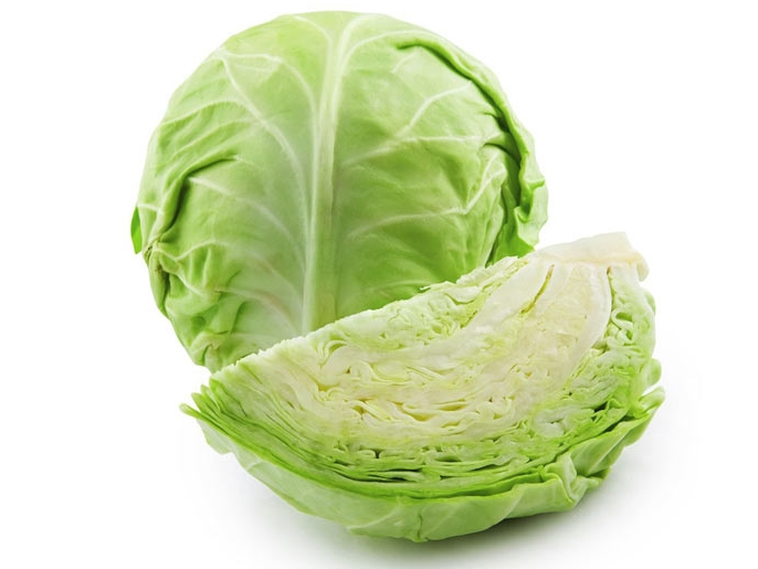Repollo