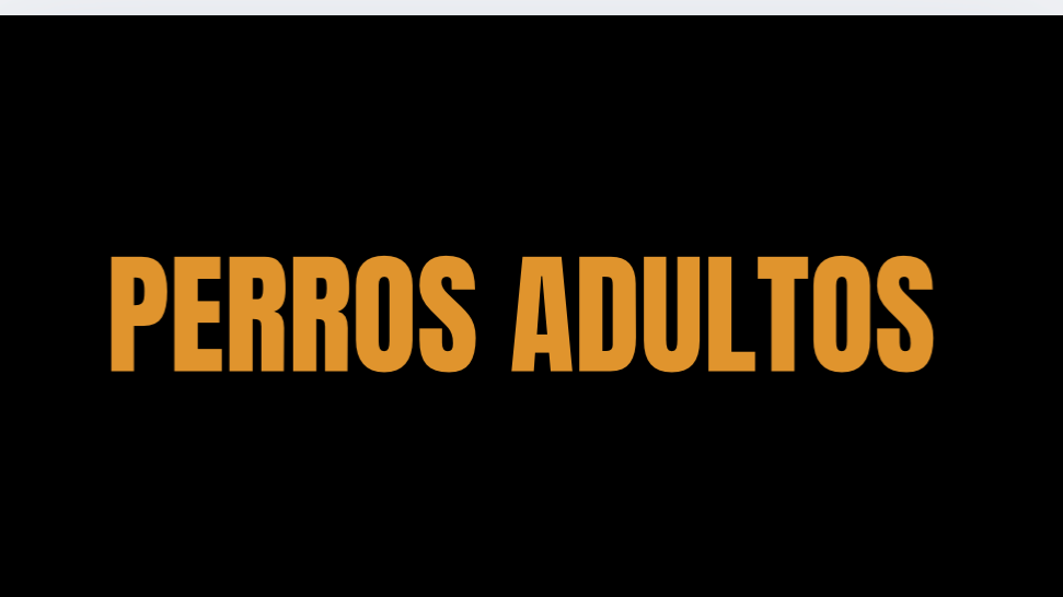 ADULTO
