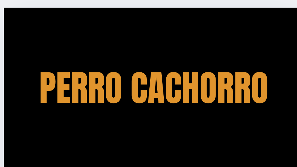 cachorro