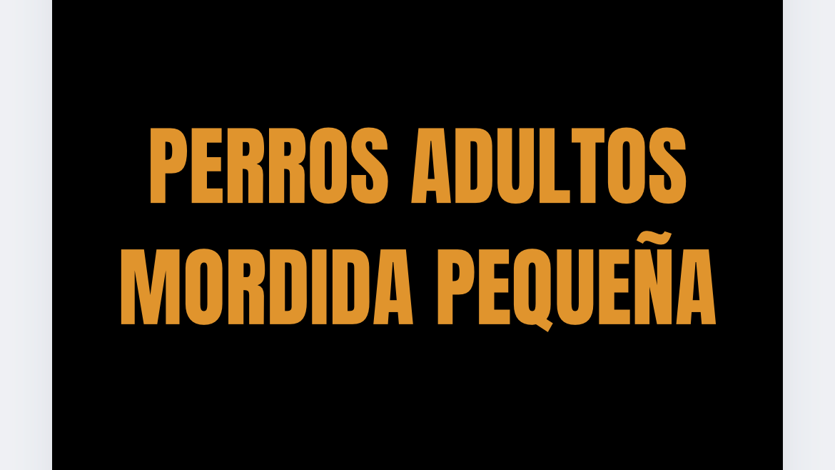 perro adulto mordida pequeña
