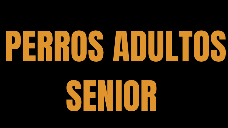 senior
