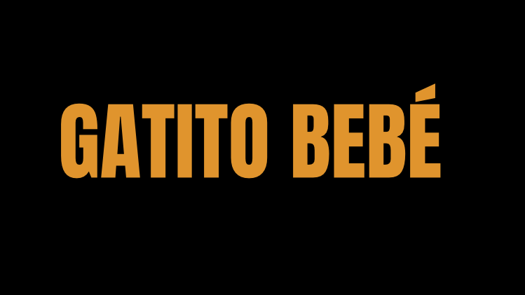 gatitos