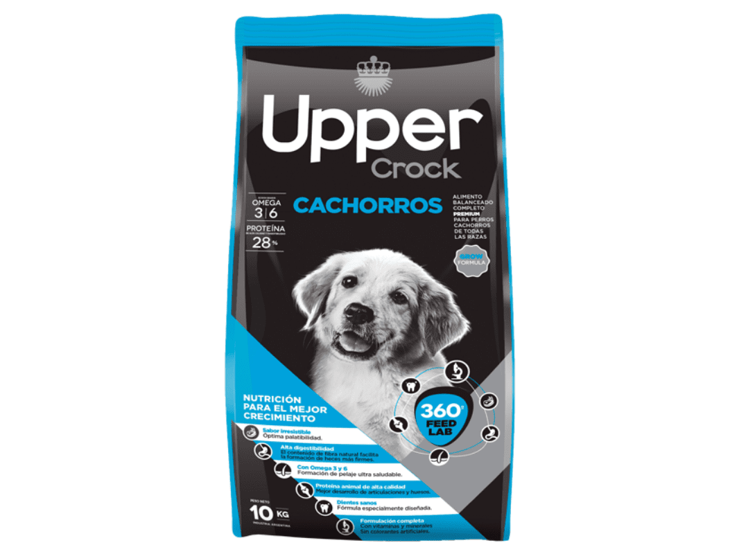 upper cachorro 10kg