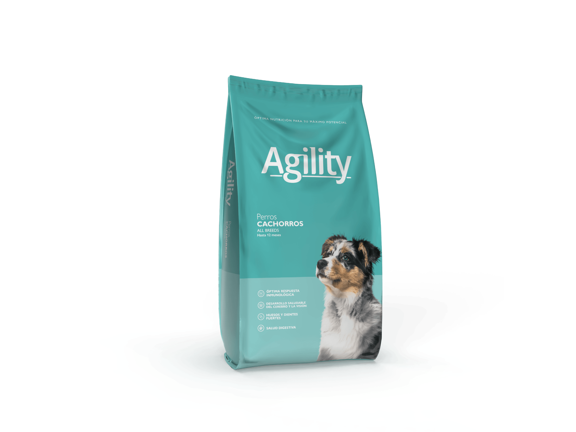 agility cachorro 20kg de Riopets