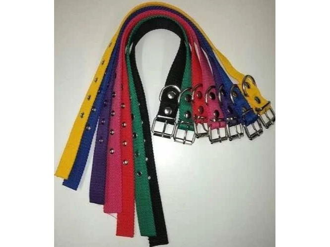 collar de nylon talle 3
