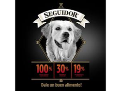 seguidor cachorro 15kg