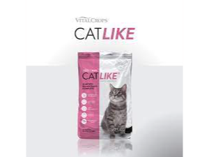 cat like gato adulto 15kg