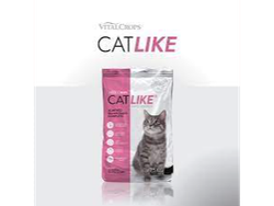 cat like gato adulto 15kg