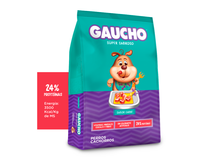 gaucho cachorro 25kg