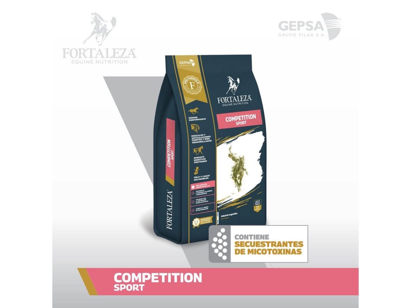 FORTALEZA COMPETICION SPORT