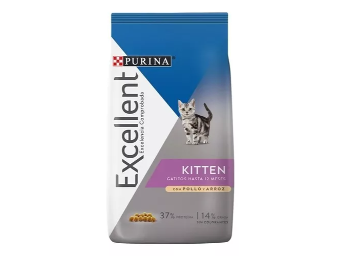 excellent kitten 7,5kg