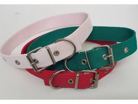 collar de nylon talle 8
