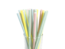 Sorbetes Polipapel Pastel 24 un.