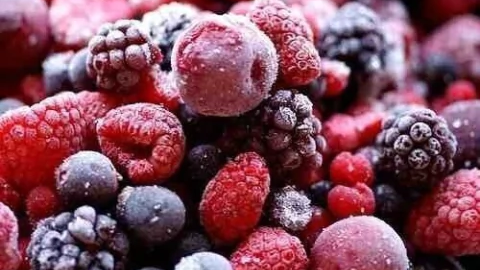 Frutos congelados