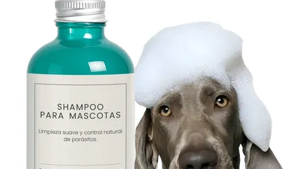 PRODUCTOS PARA MASCOTAS (LIBRE DE CRUELDAD ANIMAL Y ECOFRIENDLY)