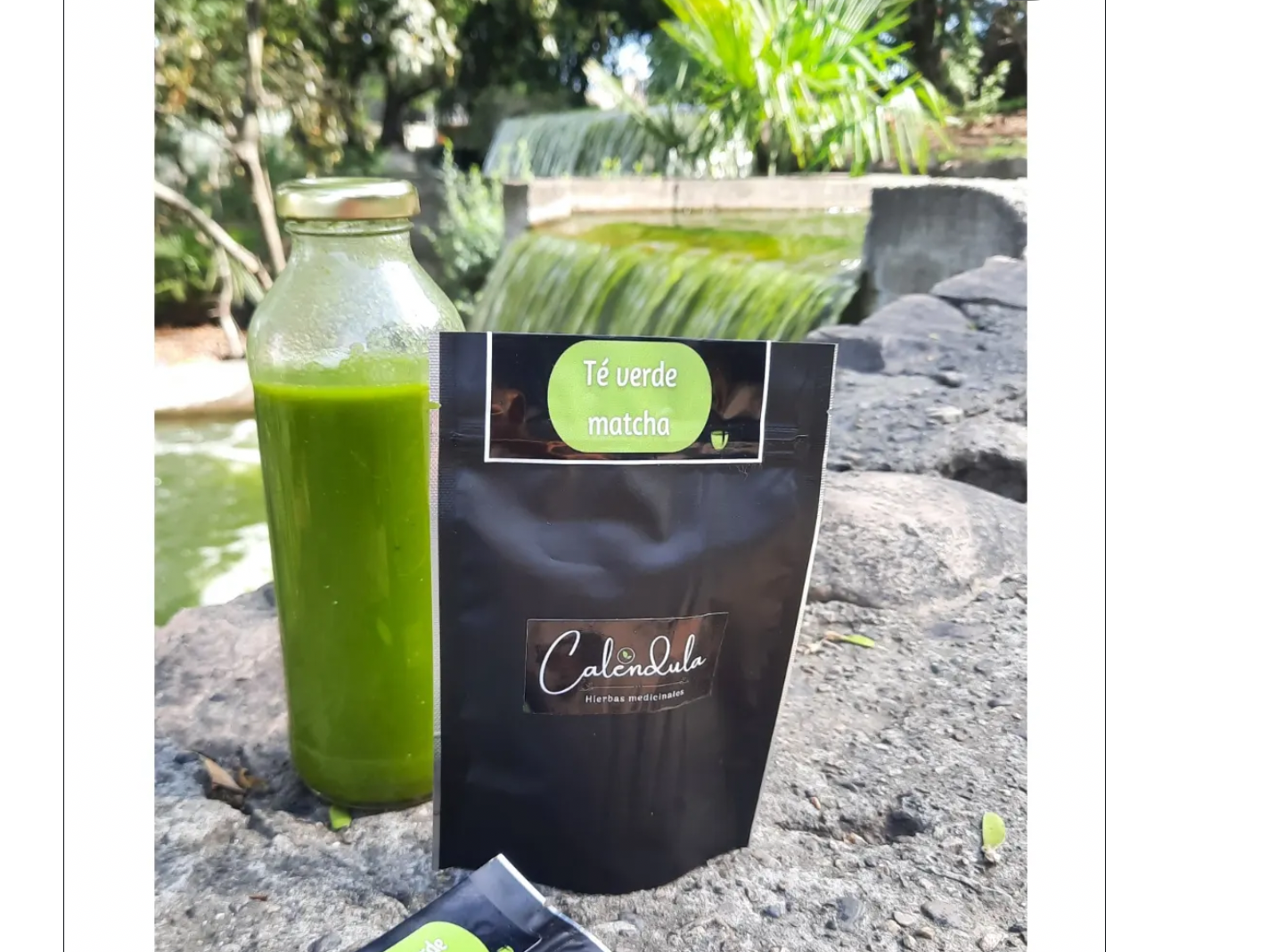 TE VERDE MATCHA