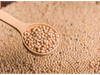 Porotos de Soja