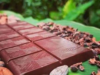 Barra de Cacao al 100% Artesanal